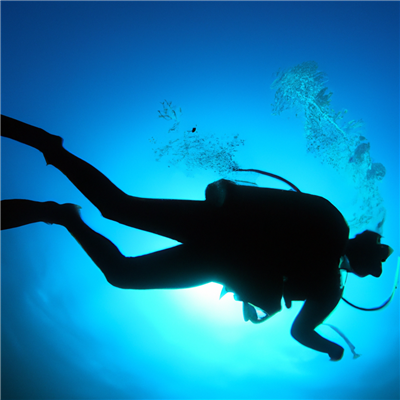 Ontdek de adembenemende onderwaterwereld: De top duikplekken in Algarve