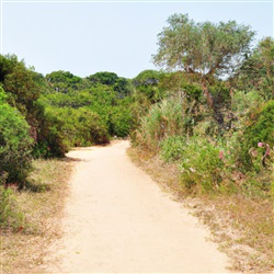 De verborgen schatten van de natuurreservaten in Algarve: Ontdek de beste plekken om te genieten van de lokale flora en fauna!