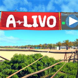 Muziekfestivals in Algarve: Alles wat je moet weten voor een onvergetelijke ervaring